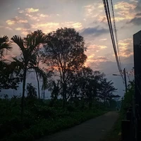 Tác Giả
