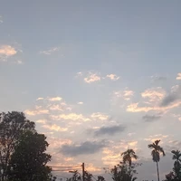 Đa nhân vật 