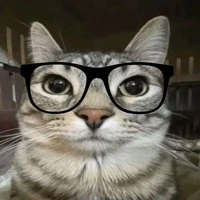 mèo