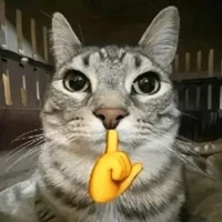 im lặng nào cô bé😔(hệ thống 020)