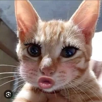 cân mọi NV trừ ai thì trừ