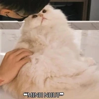 Minh Nhựt[mèo của an]