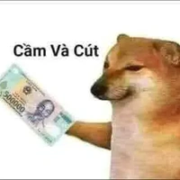 t/g bị les