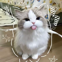 Hệ thống/ Tiểu Hắc