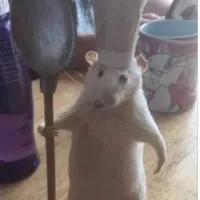 nv phụ (xuất hiện vài lần)