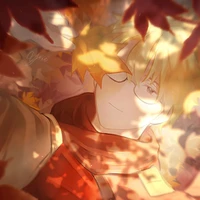 Kisa