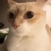 Nhân vật quần chúng 