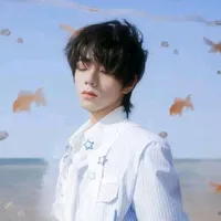 Vương Lỗ Kiệt _em