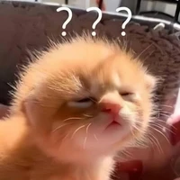 quýt đường ( mồn lèo)