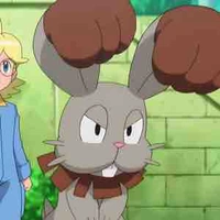 Bunnelby