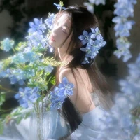 Kiều Linh ( Hoa Sơn Trà )