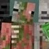 Pigman