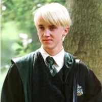 bạn của harry