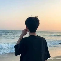 Trần Nguyễn Bảo Long