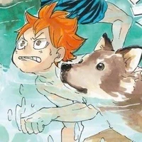 Hinata Shoyou