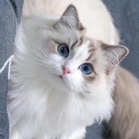 Sapphire < hệ thống>