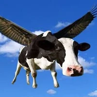 hệ thống - Okira