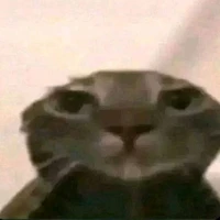 nam thần lớp bên