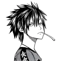 Gray Fullbuster
