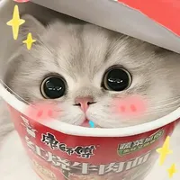 Candy cat