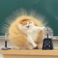 ba bi ầy