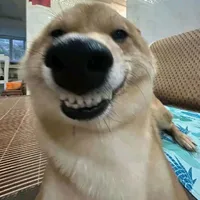 nâu