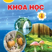 All-ai cần-