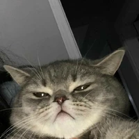 T/g Cừu Đennnnn