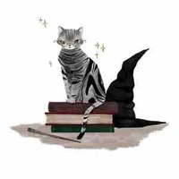 Minerva MC Gonagall