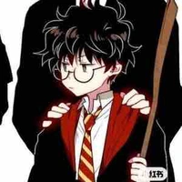 Harry James Potter