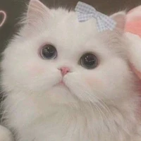 tất cả mọi người trong lớp