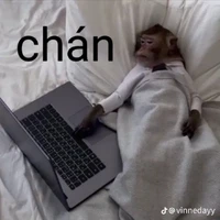 vi ci eo