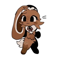 cocoa