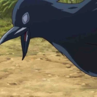 Kasugai