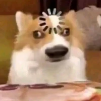 All thích trừ ai thì trừ