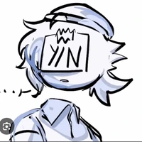 Y/N