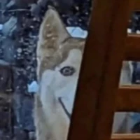 Hệ thống của Aiden