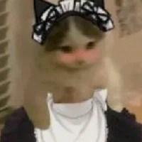 trà xanh