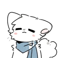 Y/N