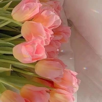Lâm Mạn Mạn