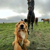 học sinh cá biệt