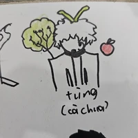 TÙNG CÀ CHUA