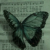 <°•°•tớ là tác giả nè •°•°>