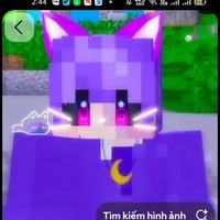 °⑅hiha catnap (cátnáp)˖*