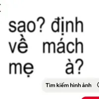 cả lớp: (1 đống 🐍 chùa)