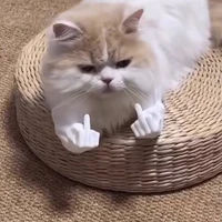 T/giả sịt hồngggg