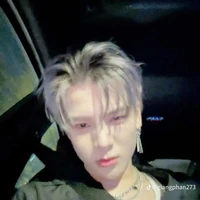 Phạm Đình Thái Ngân