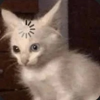 cả dàn con việt nam:)