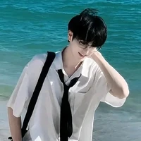 Diệp Vũ Nhật Minh - anh sinh đôi của cô