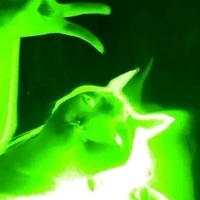 Uyên đẳng cấp tổ4-bc